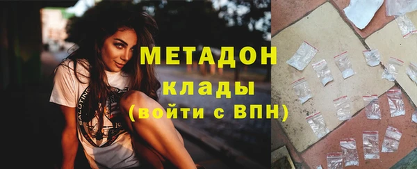 индика Алексин