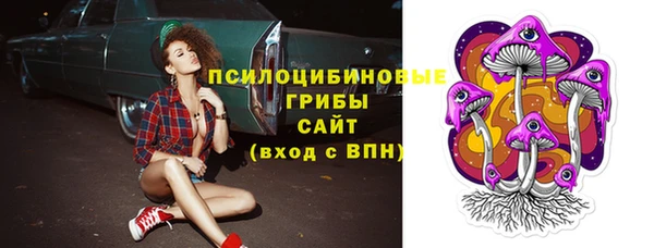 apvp Алзамай