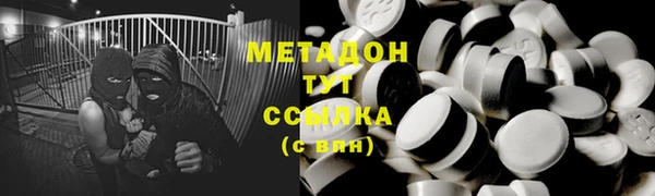 индика Алексин