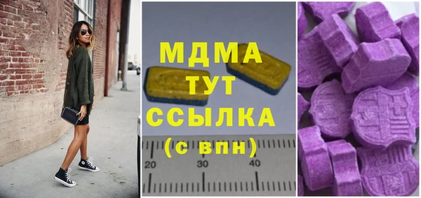 apvp Алзамай