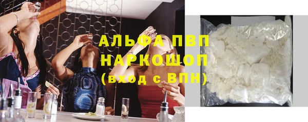 индика Алексин